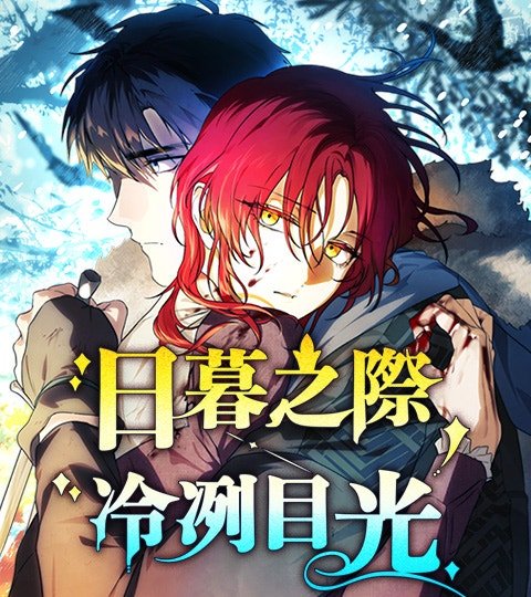 日暮之际，冷冽目光封面